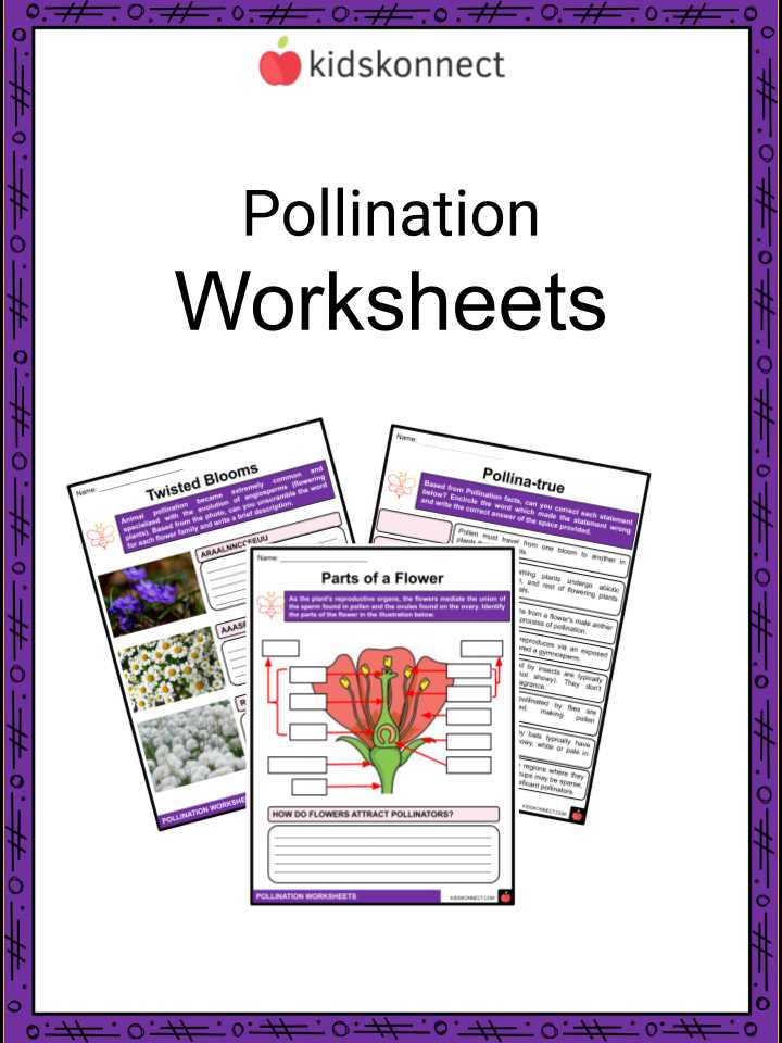 flower structure and reproduction worksheet