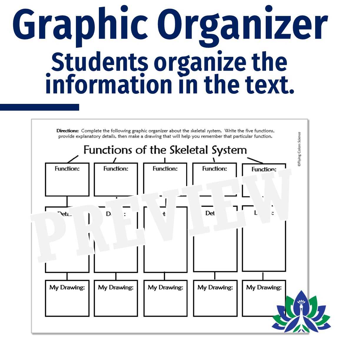 flying with functions worksheet