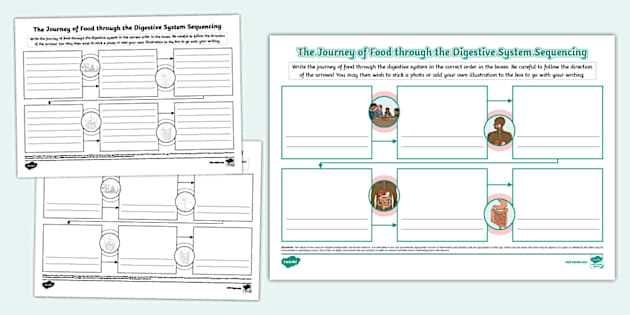 food and digestion class 4 worksheets