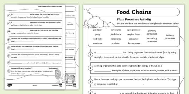 food chains worksheet