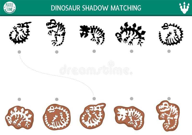 fossil worksheets