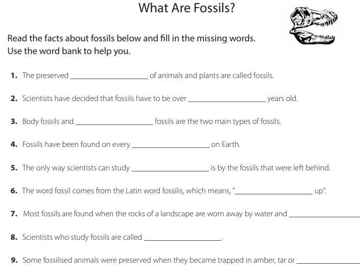 fossils worksheet