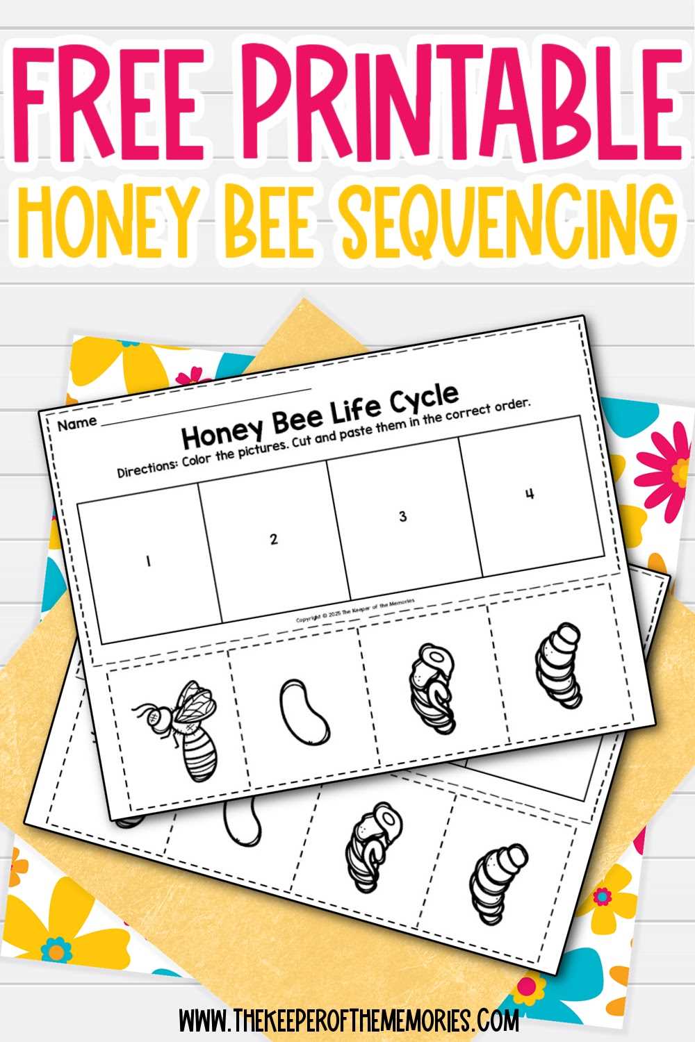 free printable bee life cycle worksheets free printable bee life cycle worksheets
