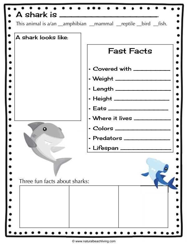 free printable shark worksheets