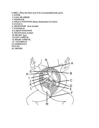frog dissection lab worksheet