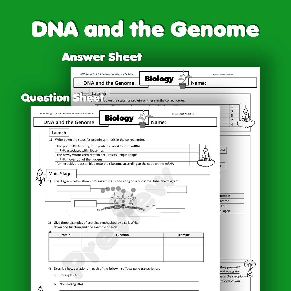 gene expression and dna technology worksheet 8