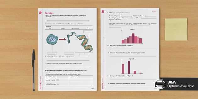 genetics worksheet
