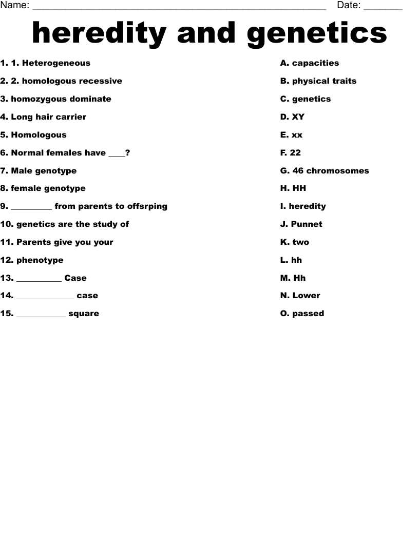 genetics worksheet