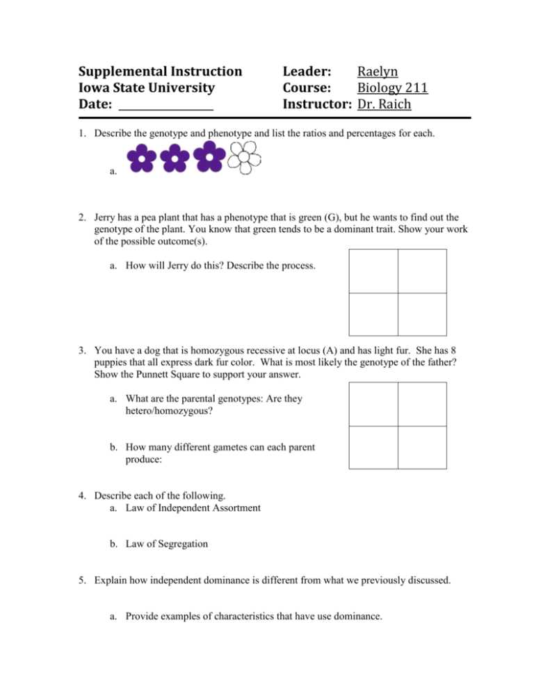 genotype phenotype worksheet
