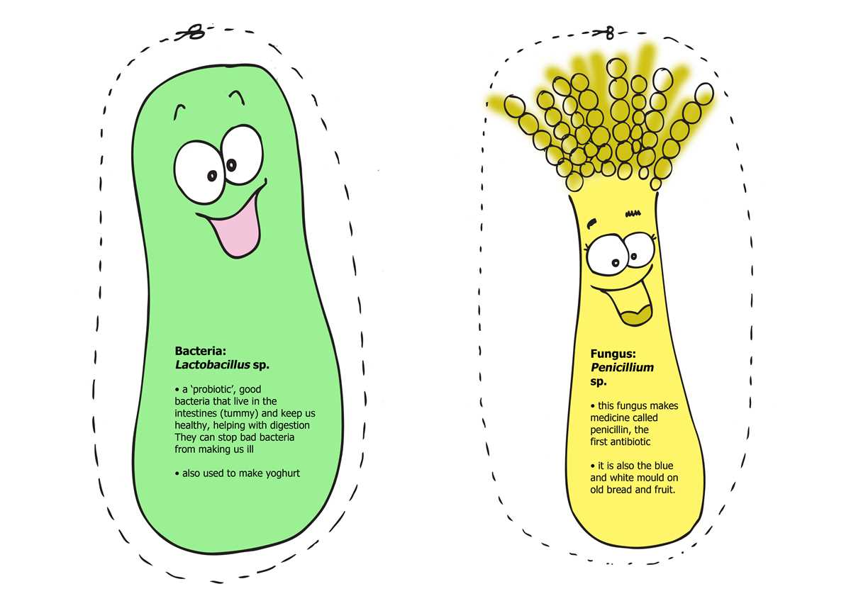 germs worksheet
