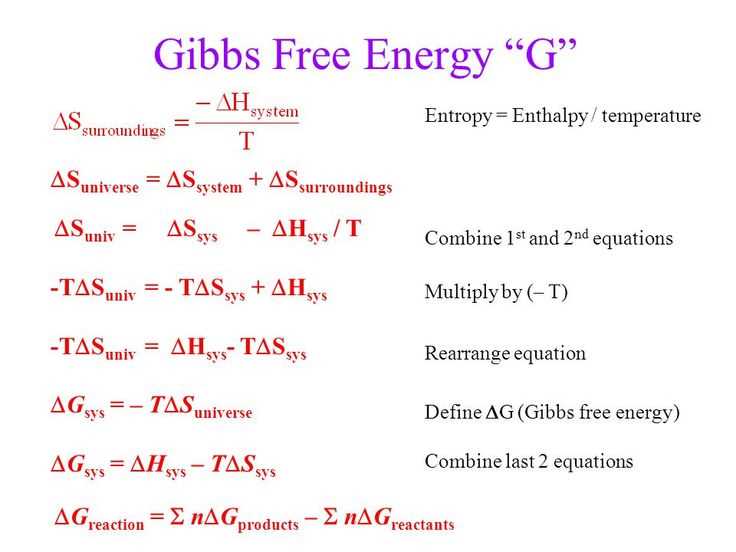 gibbs free energy worksheet
