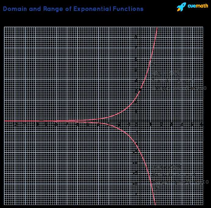 graphing exponential growth and decay worksheet