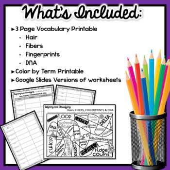 hair and fiber unit worksheet