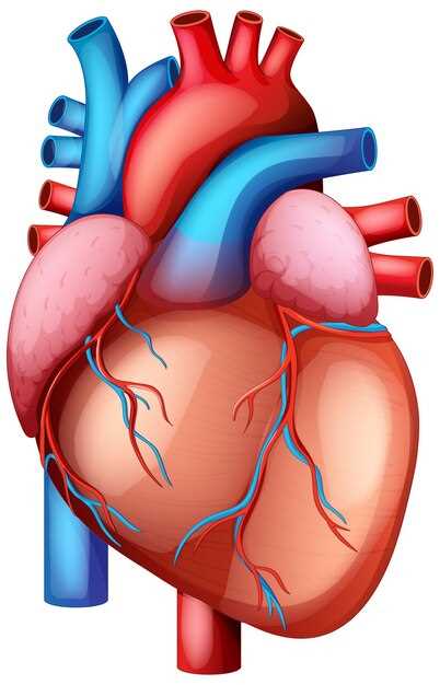heart diagram worksheet