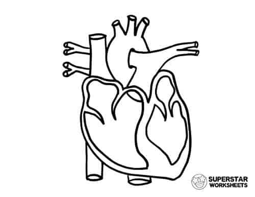 heart label worksheet