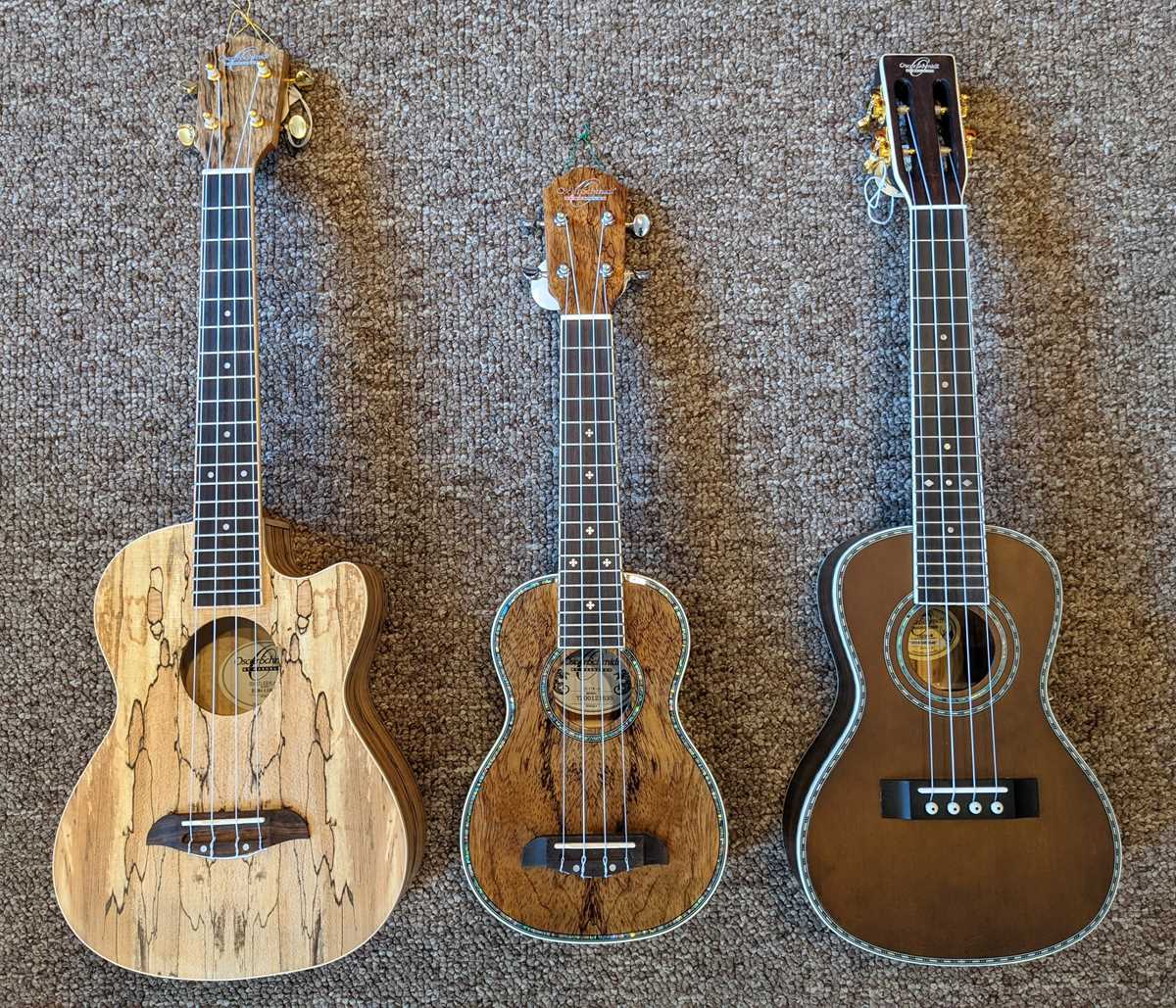 history of the ukulele worksheet