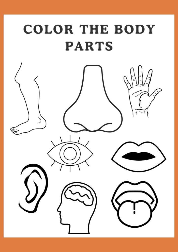 infant worksheets