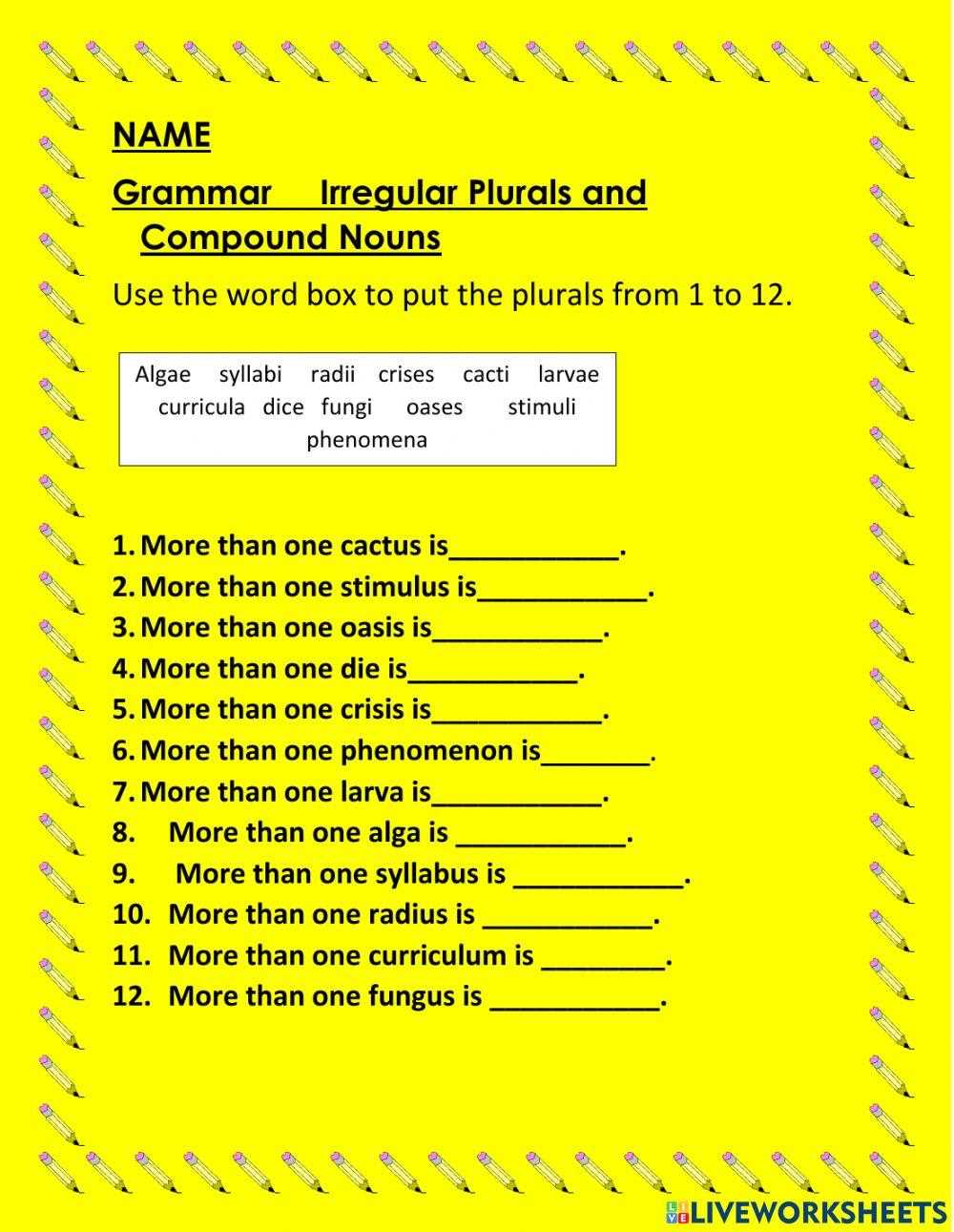 irregular nouns worksheets