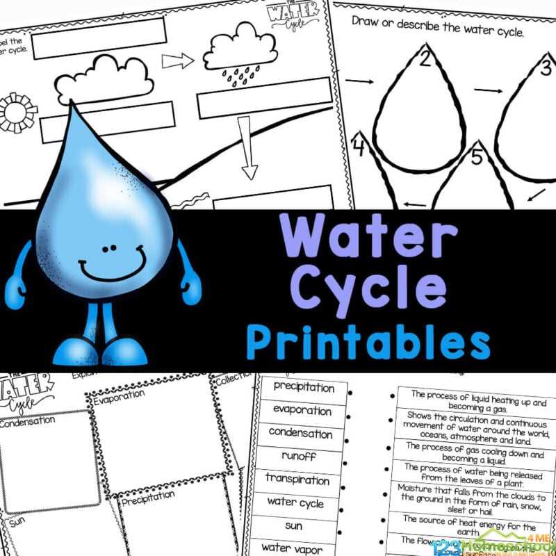 k12 worksheets free