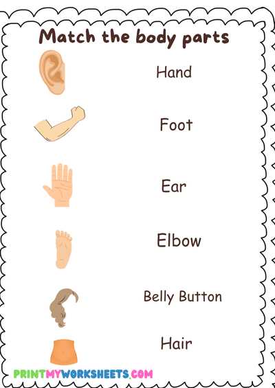 kindergarten body parts worksheet