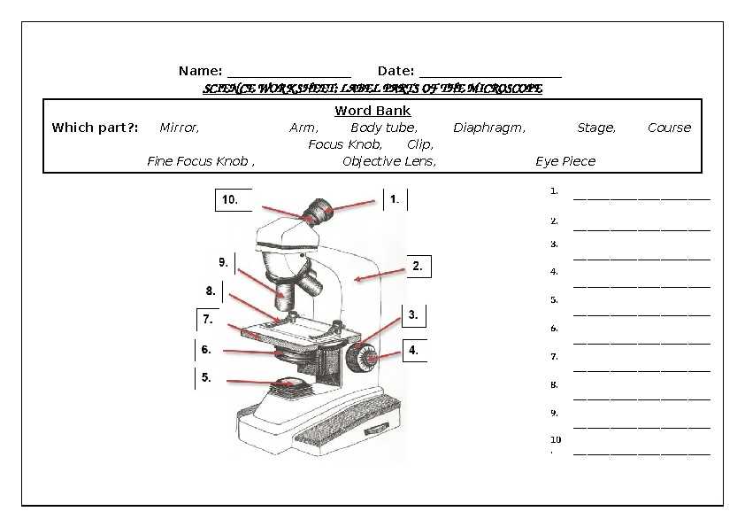 label parts of a microscope worksheet