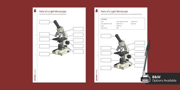 label parts of a microscope worksheet