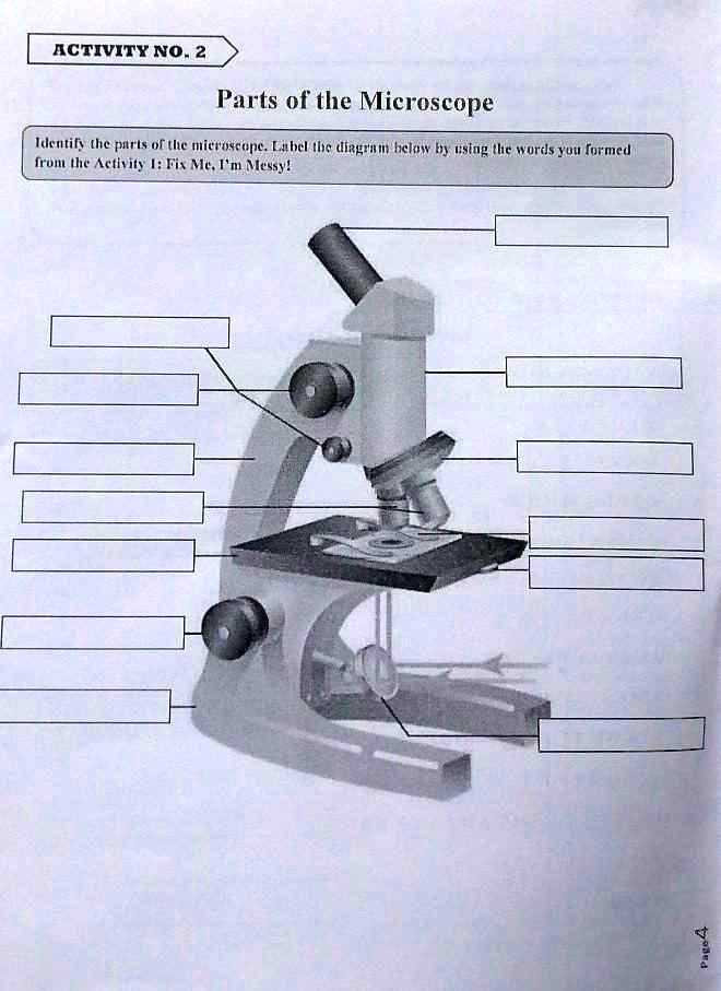 label the microscope worksheet