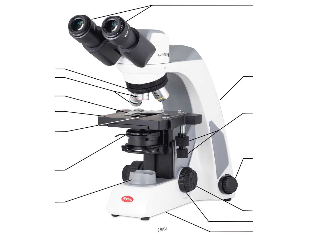 labeling microscope worksheet