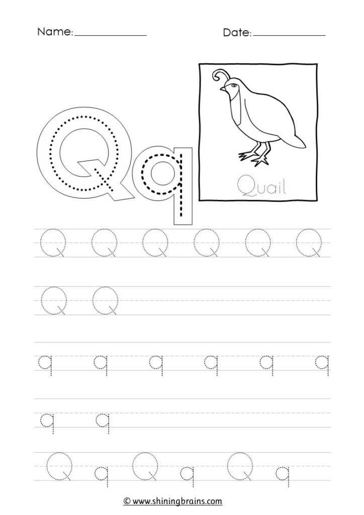 letter q worksheets free printables
