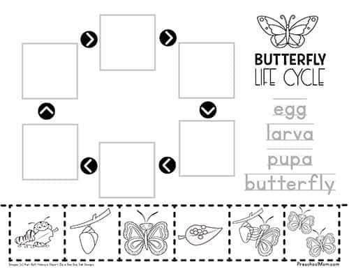 life cycle of a butterfly for kindergarten worksheet
