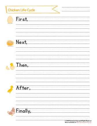 life cycle of the chicken worksheet