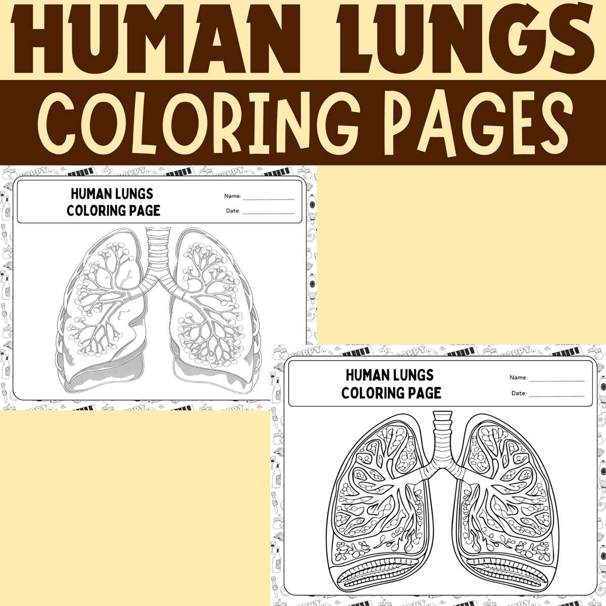 lungs worksheet