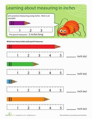 measuring in inches worksheets measuring in inches worksheets