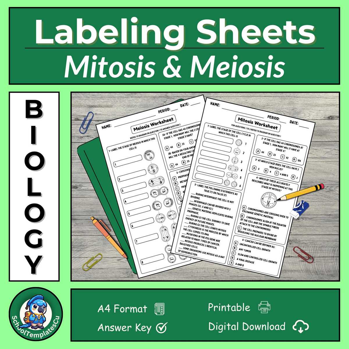 mitosis meiosis worksheet