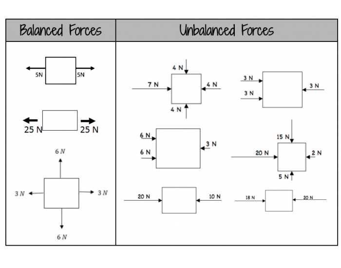 net force worksheet