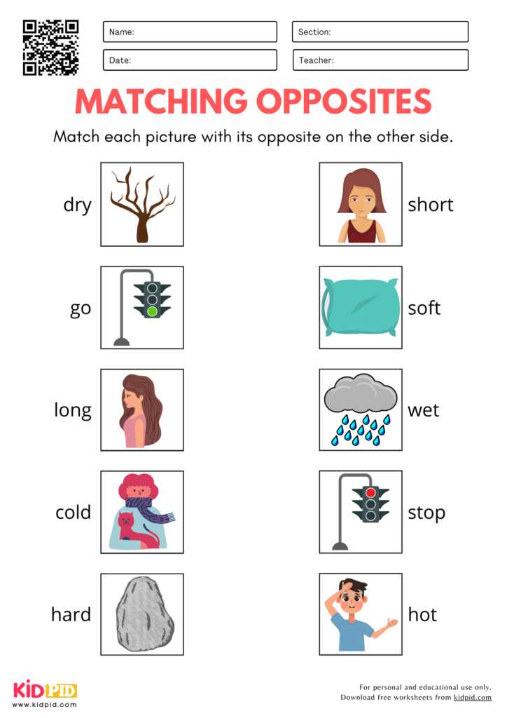 opposites worksheets for preschool