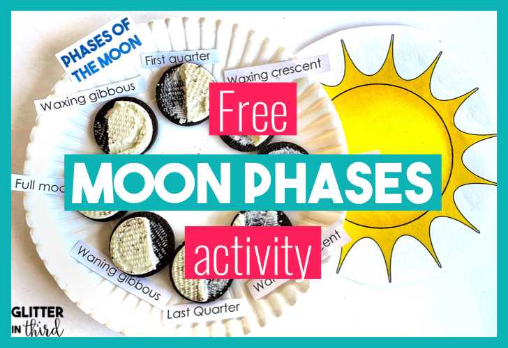 oreo moon phases worksheet