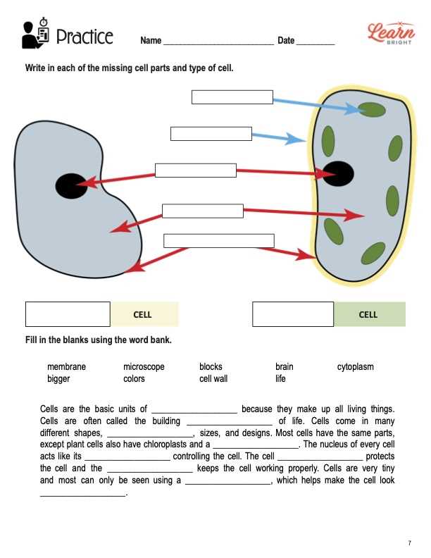 parts of plant cell worksheet