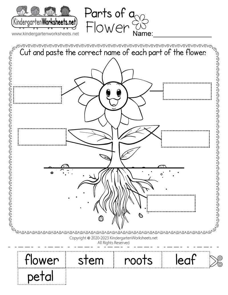 parts of the flower worksheet
