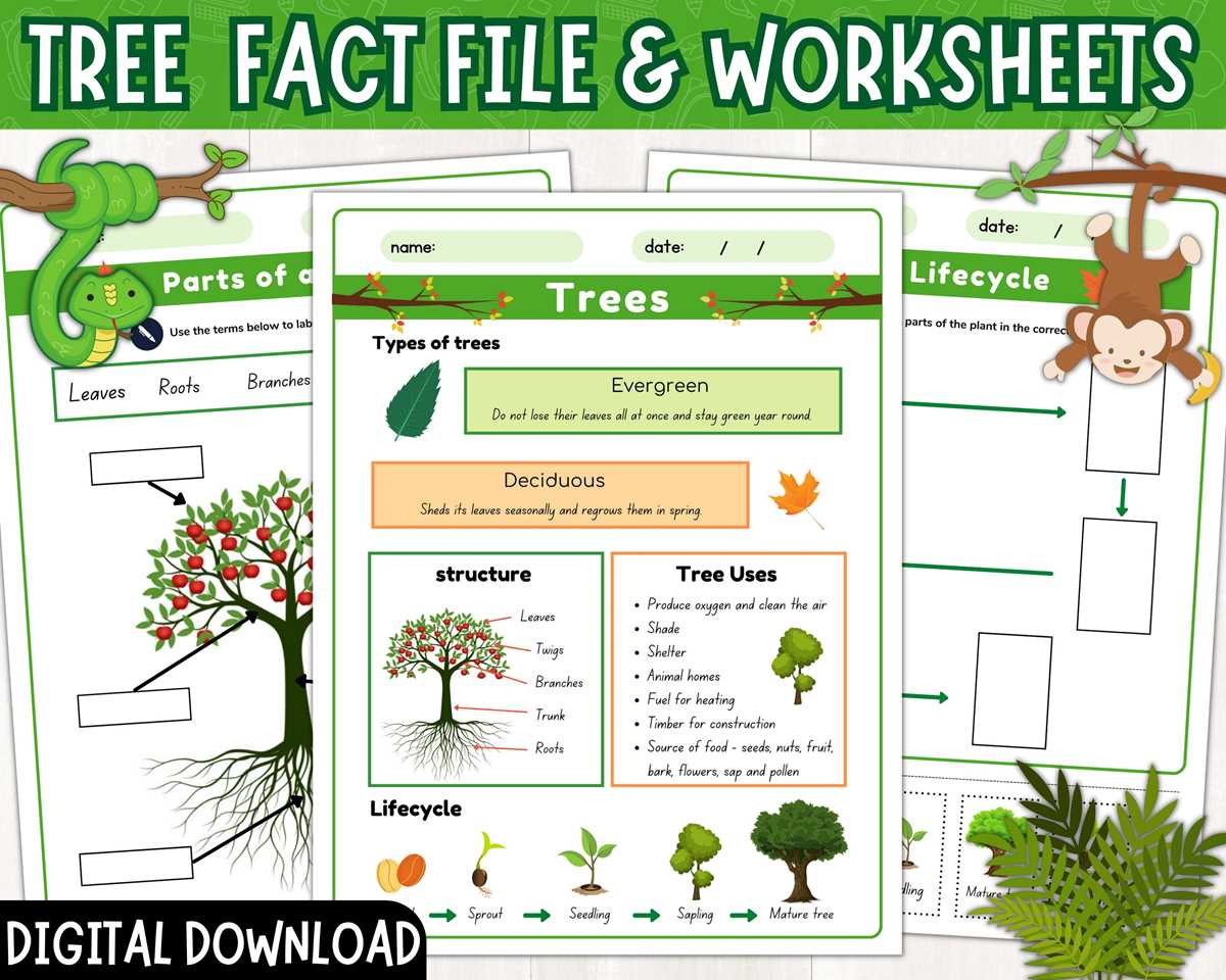parts of the tree worksheet