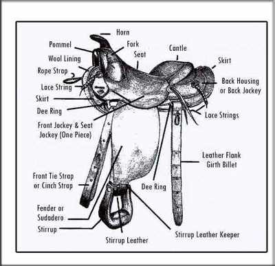 parts of the western saddle worksheet