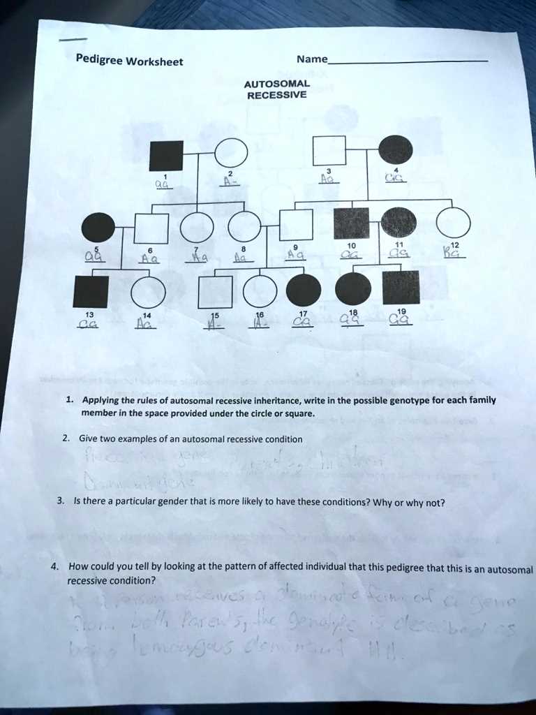 pedigree worksheets