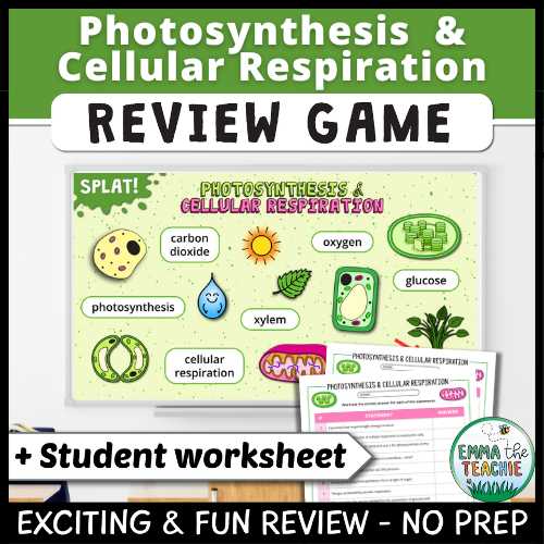 photosynthesis review worksheet