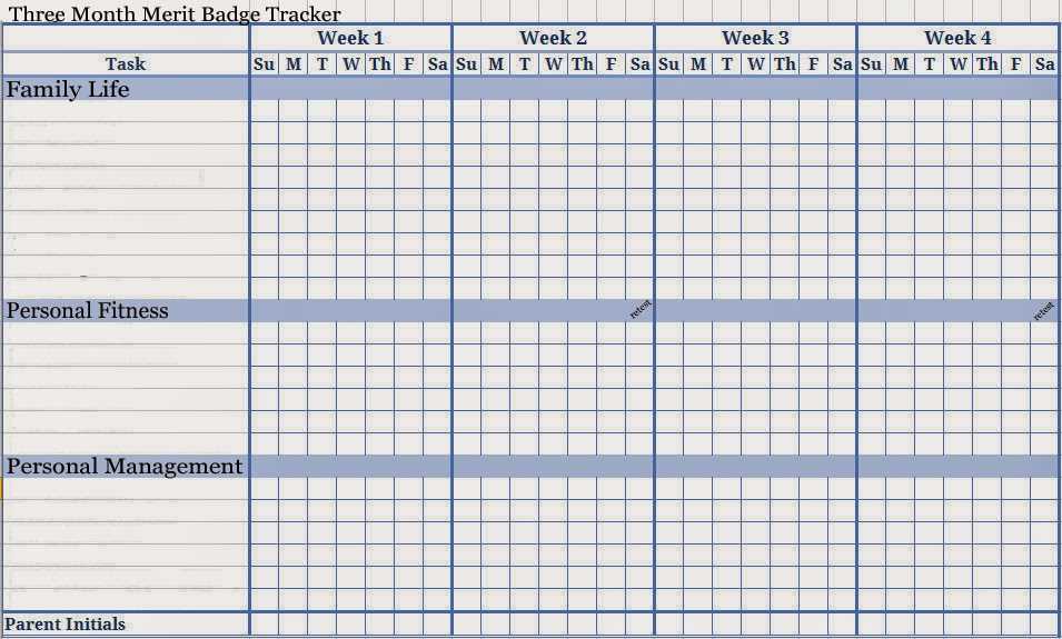physical fitness merit badge worksheet