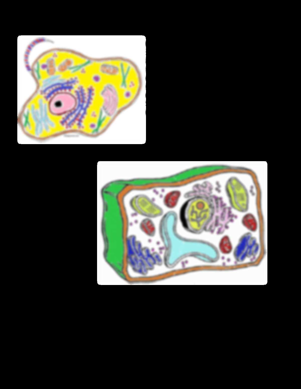 plant and animal cell coloring worksheets