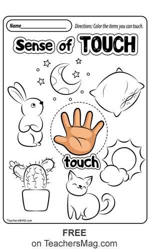 preschool five senses worksheets preschool five senses worksheets
