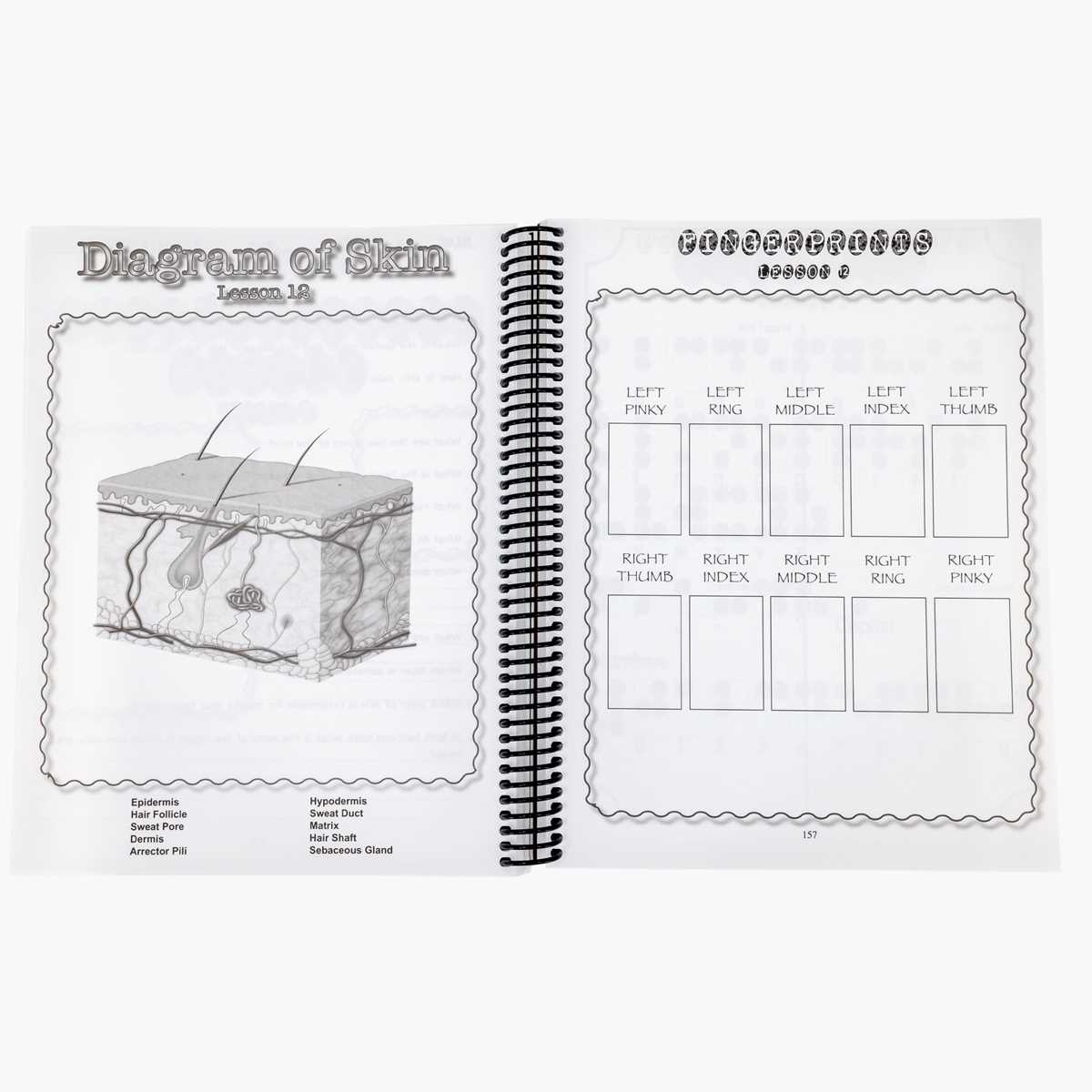 printable blank skin diagram worksheet
