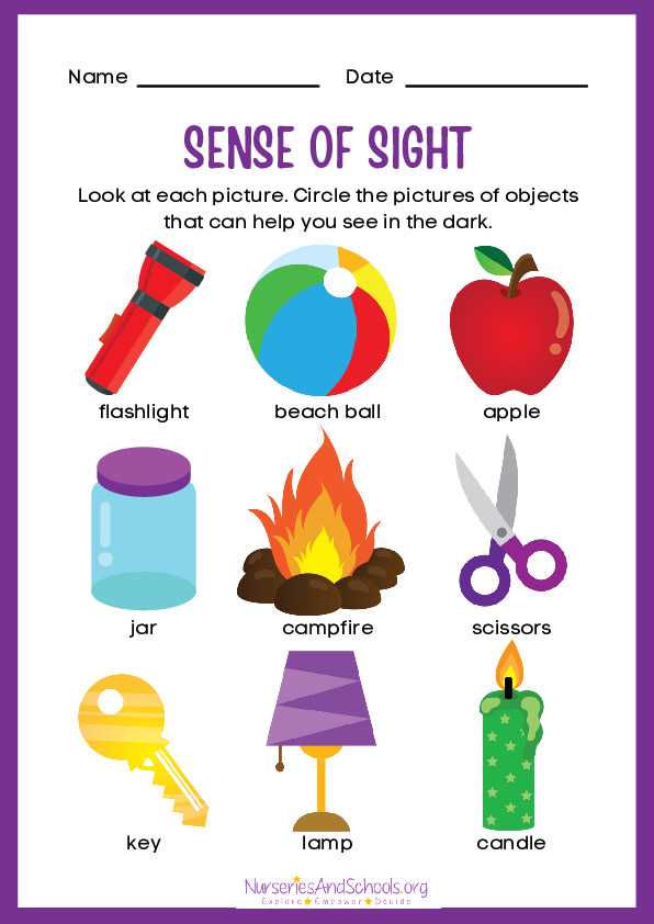 printable sense of sight worksheet