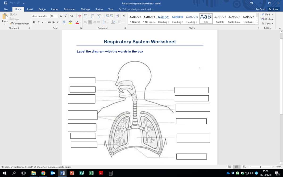 respiratory system labeling worksheet