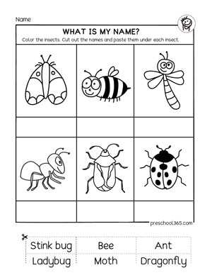 science for kindergarten worksheets